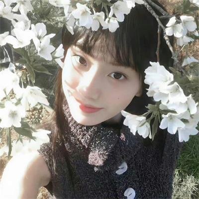 苍兰诀