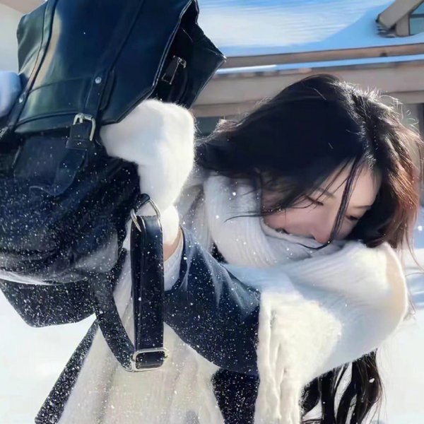走向共和