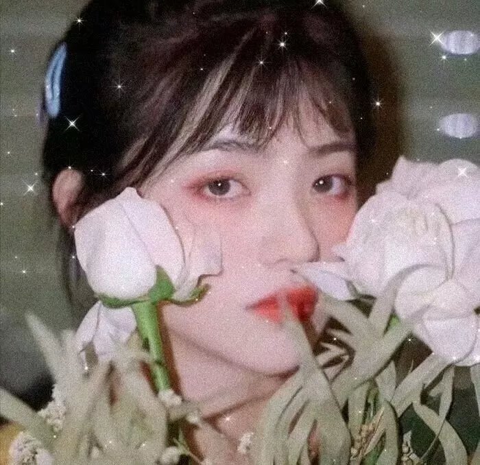 骄阳伴我
