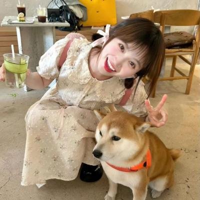 唐诡西行