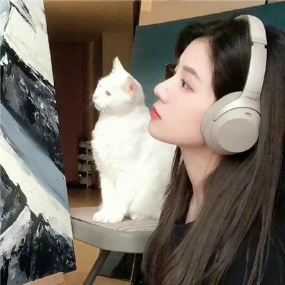 白夜追凶